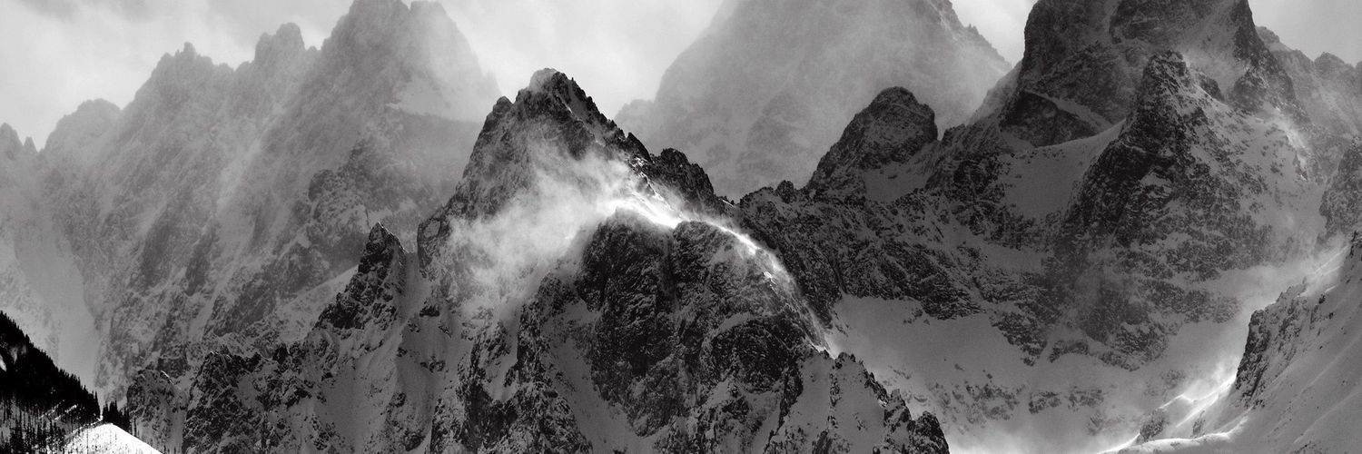 Ewolfy7's profile banner image