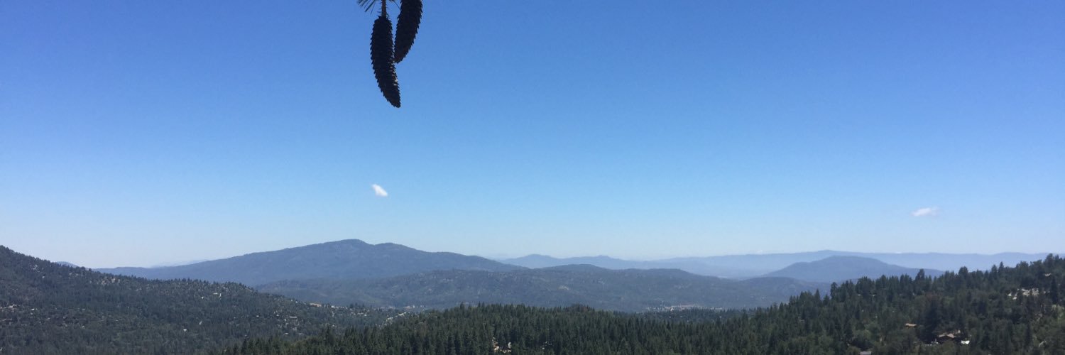 levi_shinkle's profile banner image