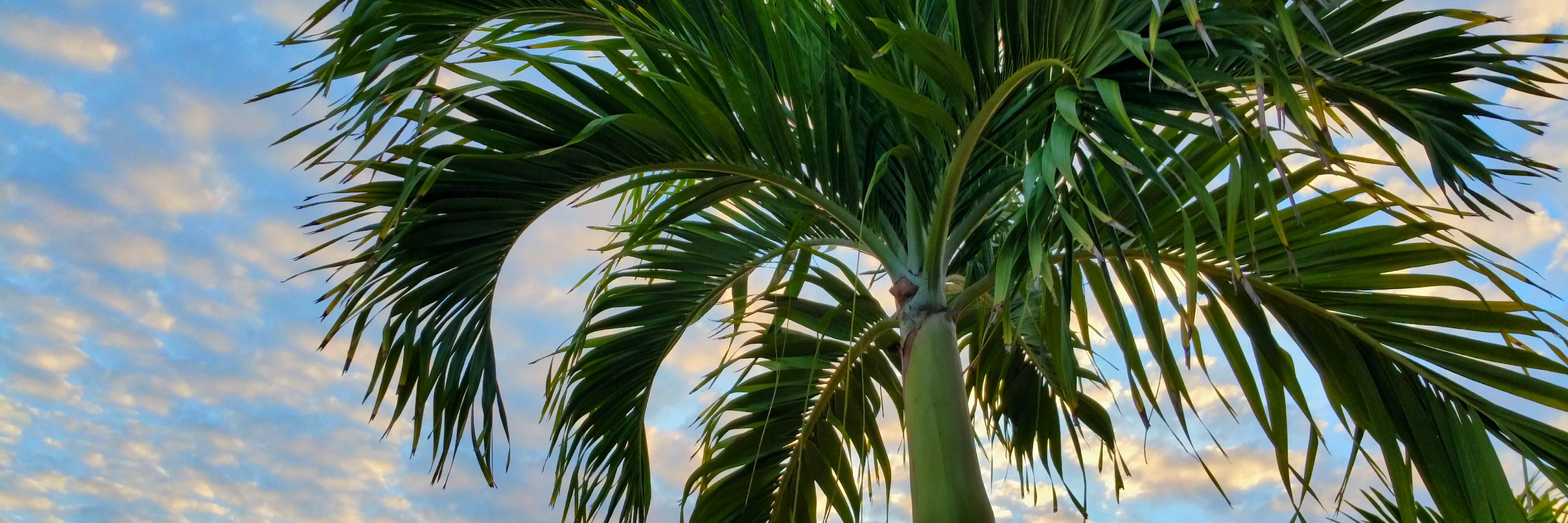 swFloridaStore's profile banner image