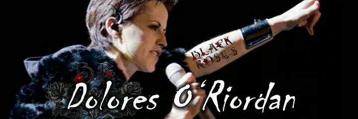 ever1008473's profile banner image