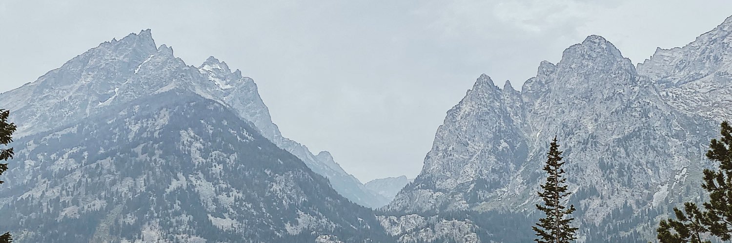 Sofia Mari banner