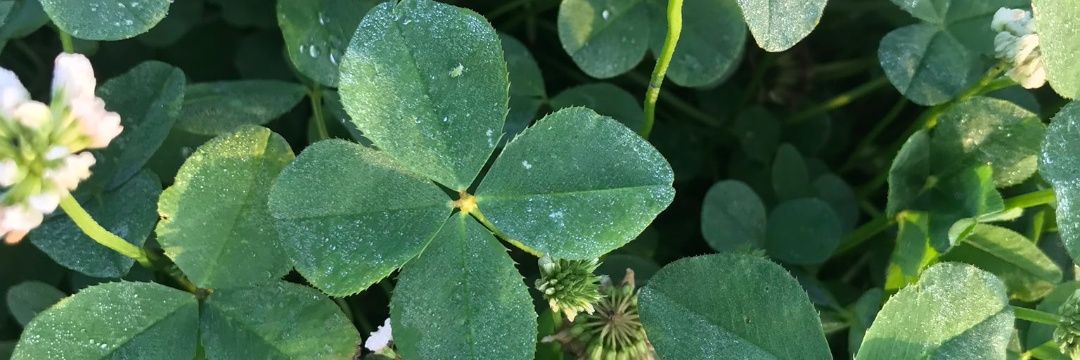 小田切 愁野@5/5arteVarie137東2ホールら19 banner