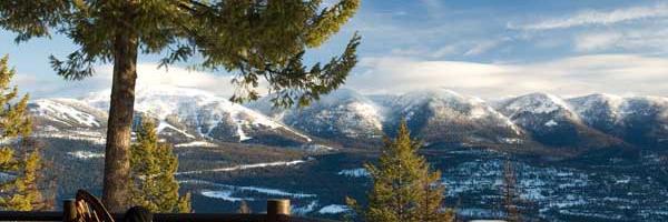 bradivnh Profile Banner