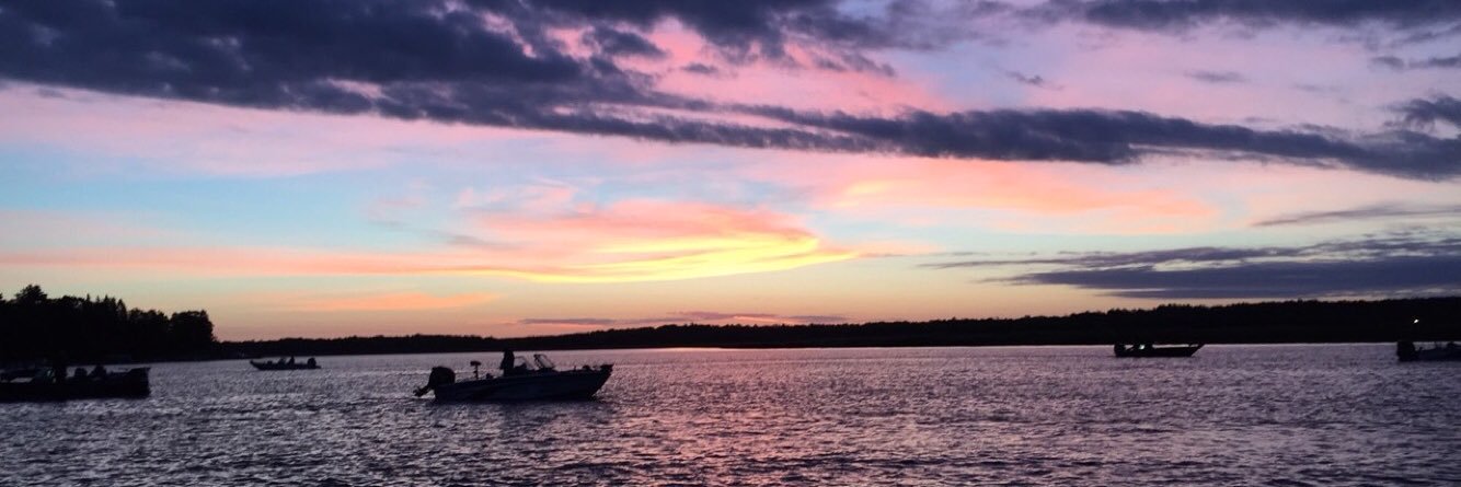 NittiHunter's profile banner image