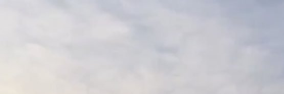 aleyna banner