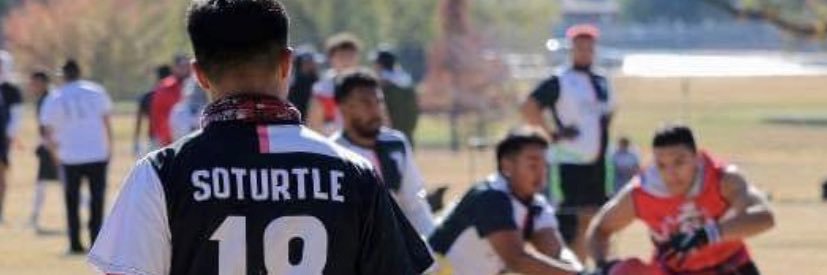 SoTurtle_'s profile banner image