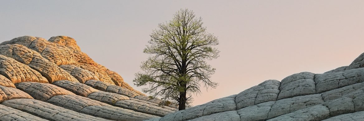 AlecOfJones's profile banner image