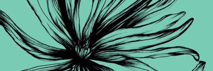 _florpa's profile banner image
