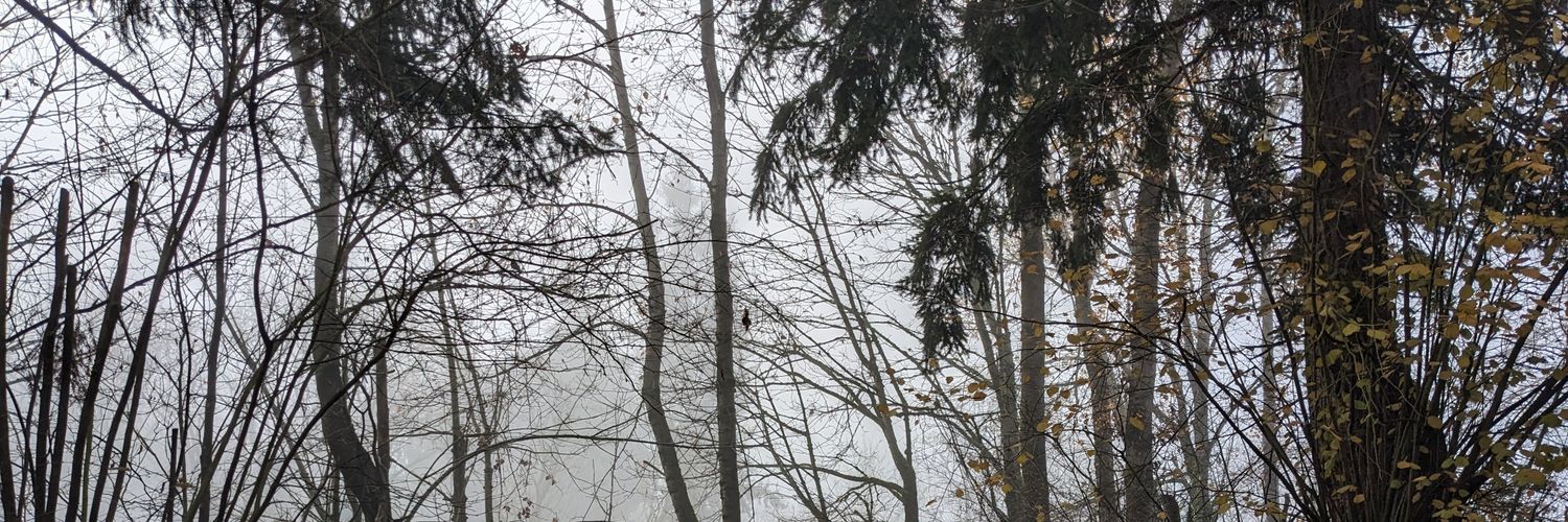 PickleySpices's profile banner image