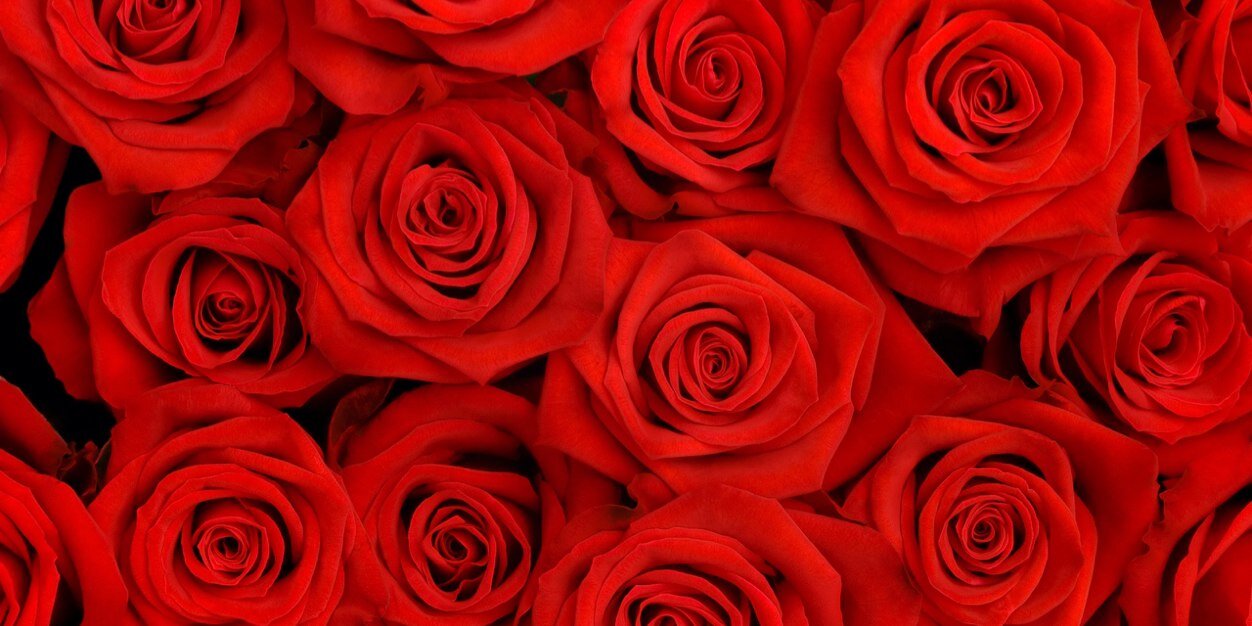 RubyRosa_'s profile banner image