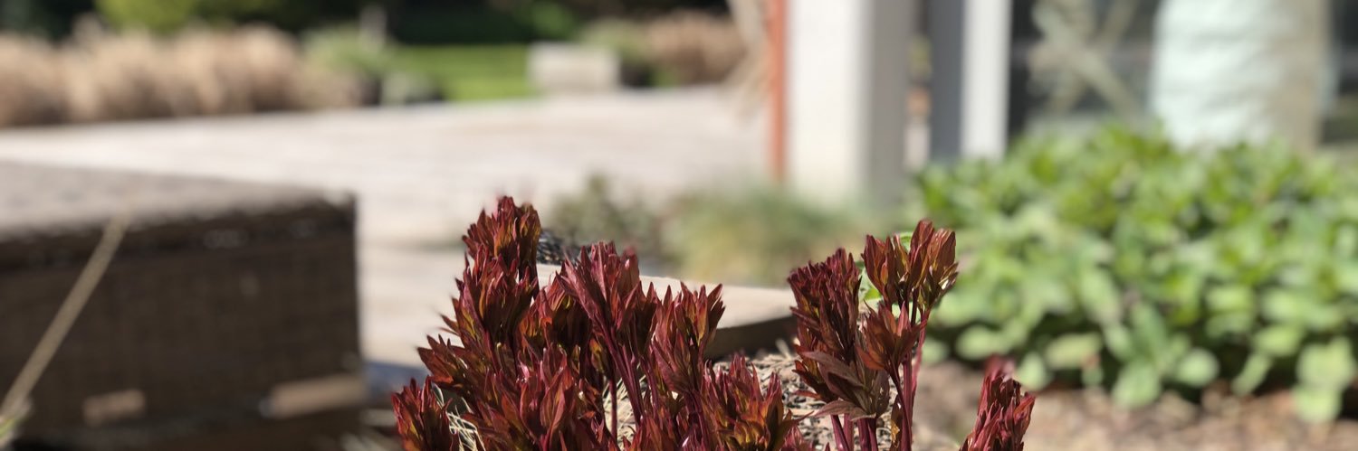 DelilleAlex's profile banner image