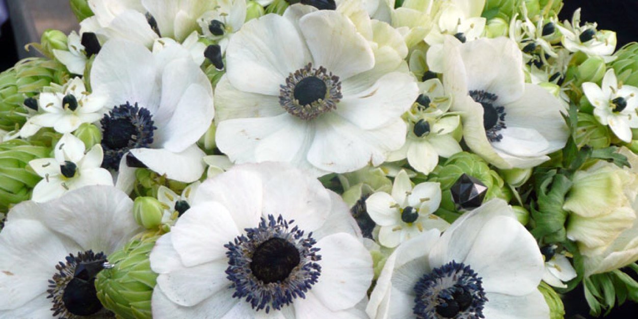 Jonathan1Flower's profile banner image