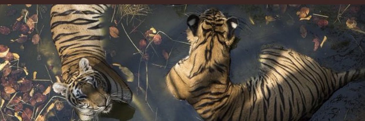 CraveQua's profile banner image