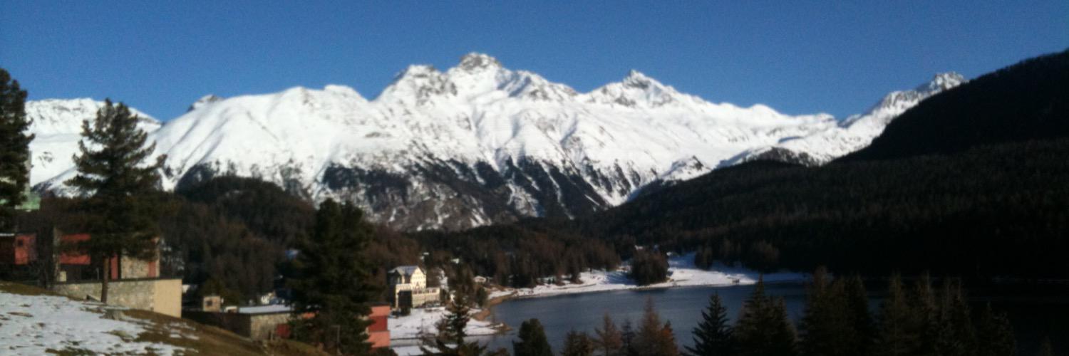 Massimo Mauri banner