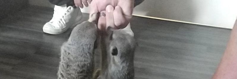 Partyanimalteam's profile banner image