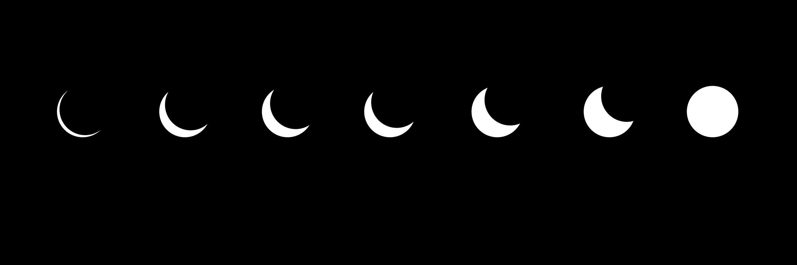 alviolaa's profile banner image