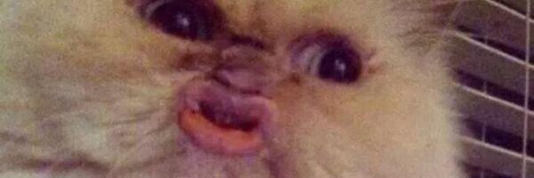 easterwheel455 Profile Banner