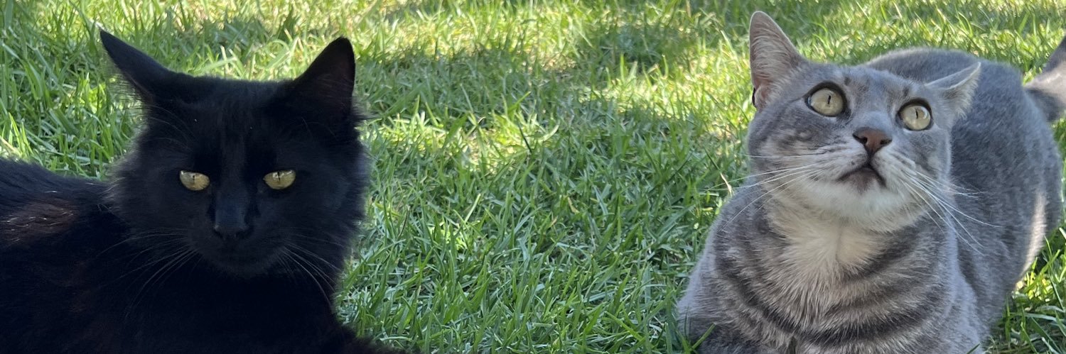 cactusjacquelyn's profile banner image
