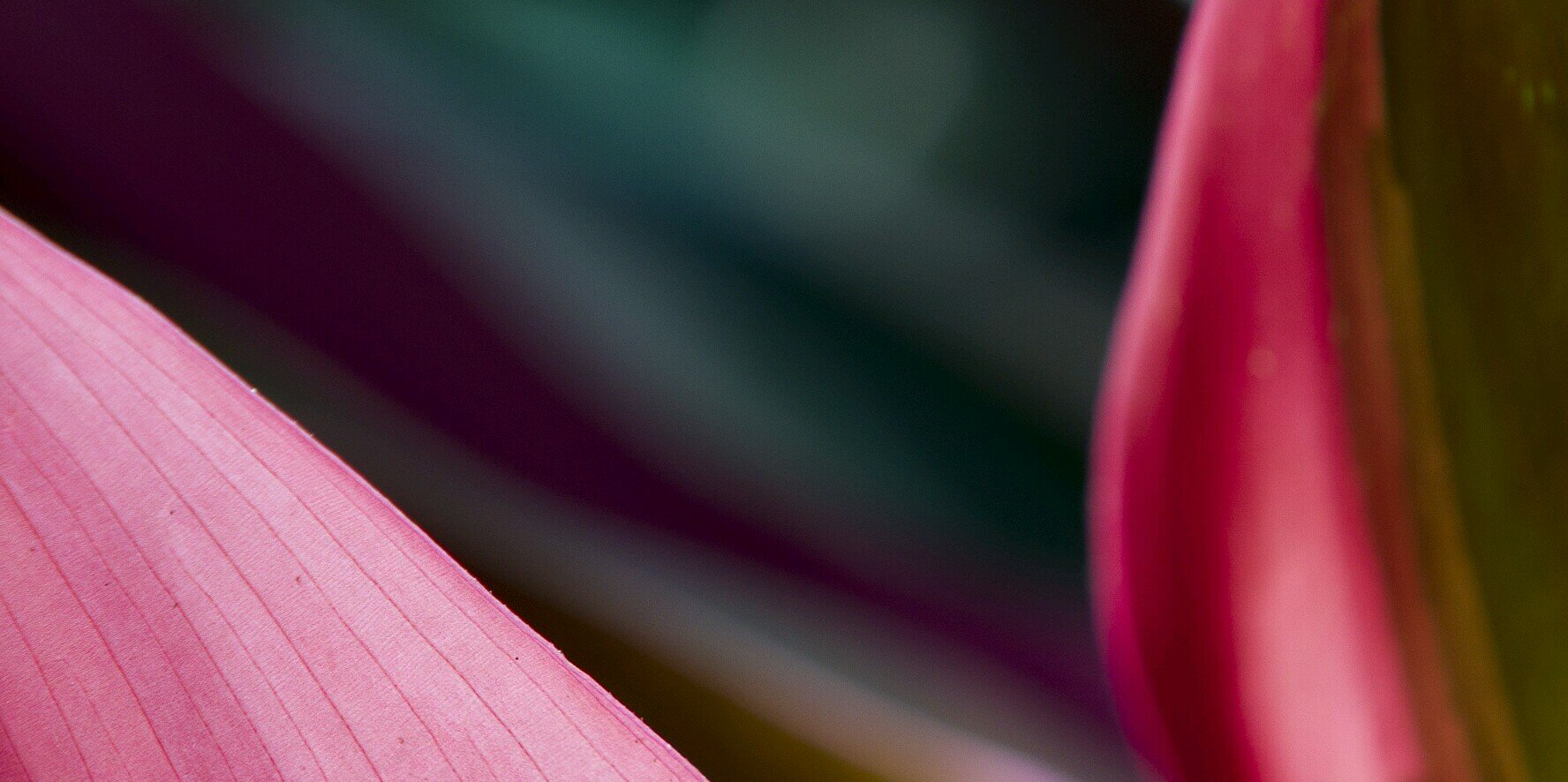 PhotoQuist's profile banner image