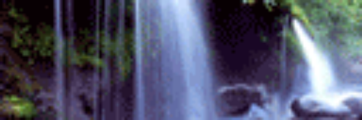 Mimsselaras banner