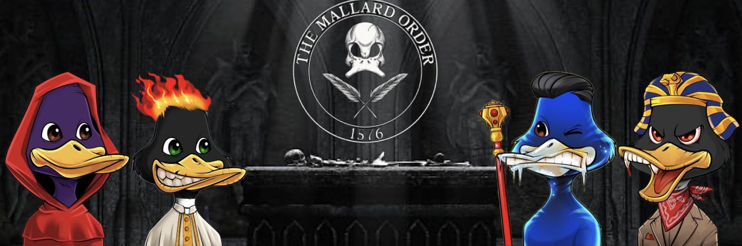 Rawna $530 | 20%er banner