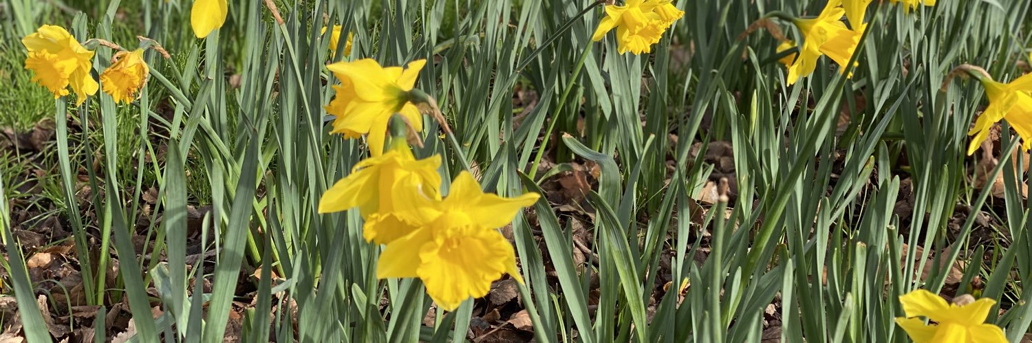 carolyn lasker banner