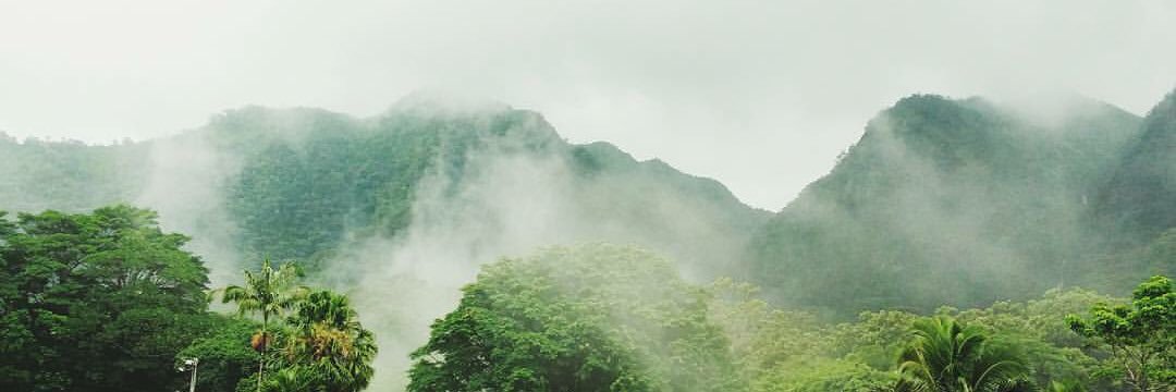 友人A (˃̶᷄‧̫ ˂̶᷅๑ ) banner