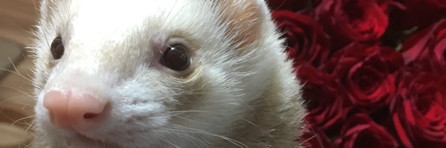 8kz9's profile banner image