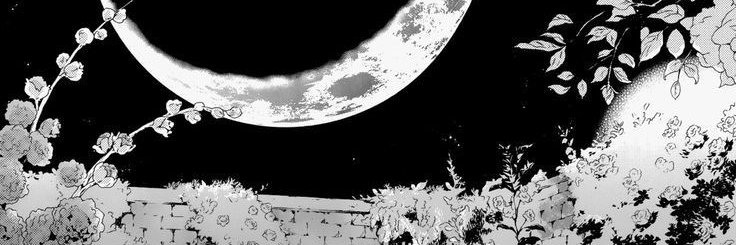 Enzo banner