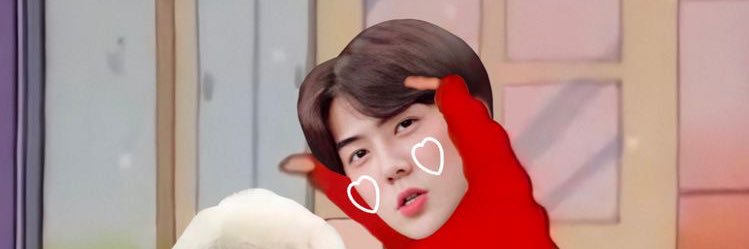shpllw_'s profile banner image
