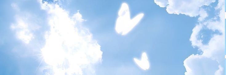 M0RPH0WHISPER's profile banner image
