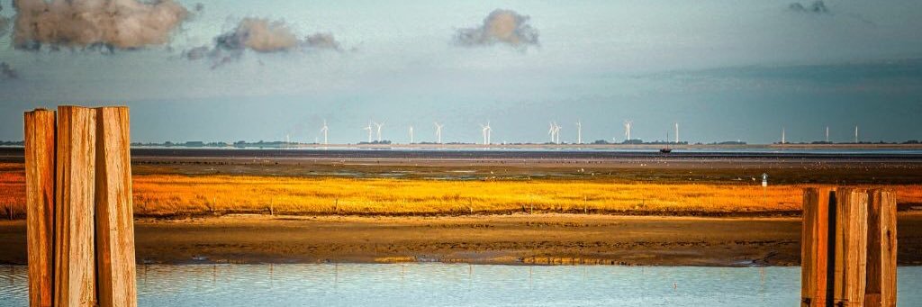 Barbara Ebert banner