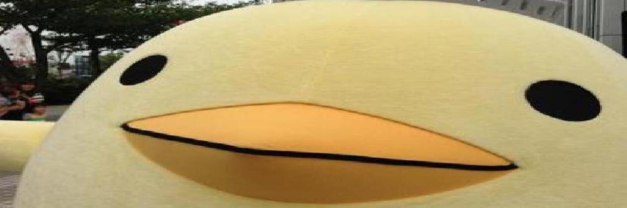 Dolan¢oin Inc LLC™©™ banner