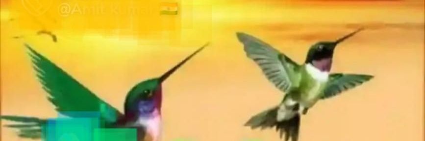 ☞᭄ ÇHÌñ†Ä þÌ†ÄMßÈRR banner