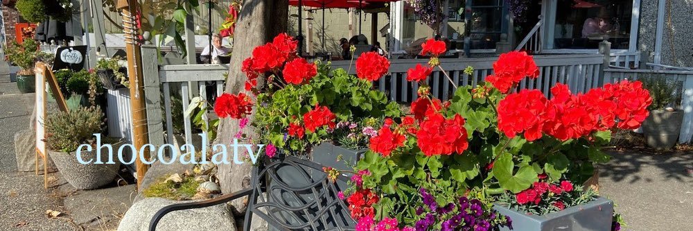 chocoalatv's profile banner image