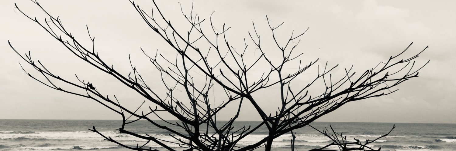 Nasarddn's profile banner image