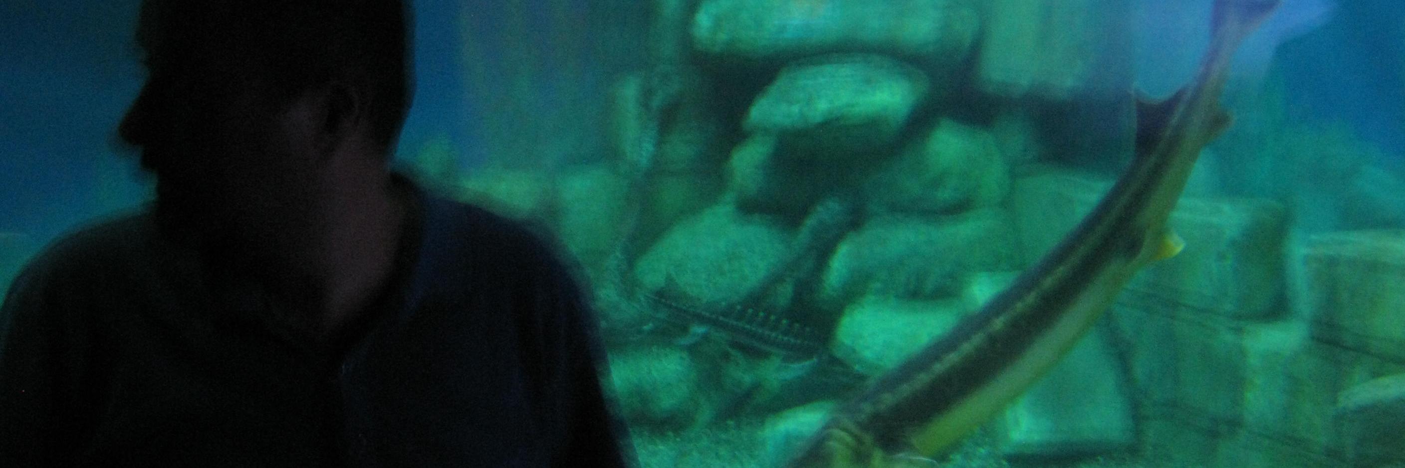 LevenTezer's profile banner image
