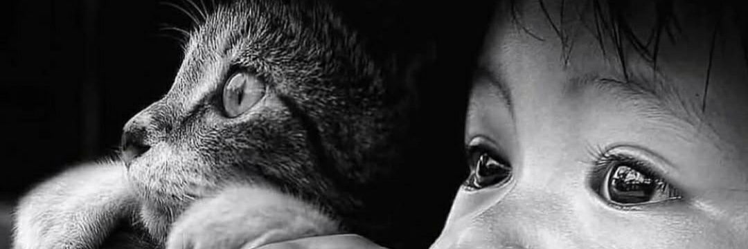 erdo1917's profile banner image