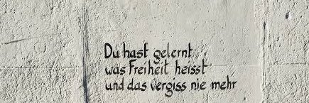 🐑 eli 🐟 banner