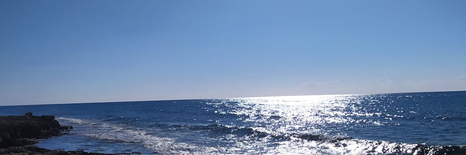 zeidanis's profile banner image