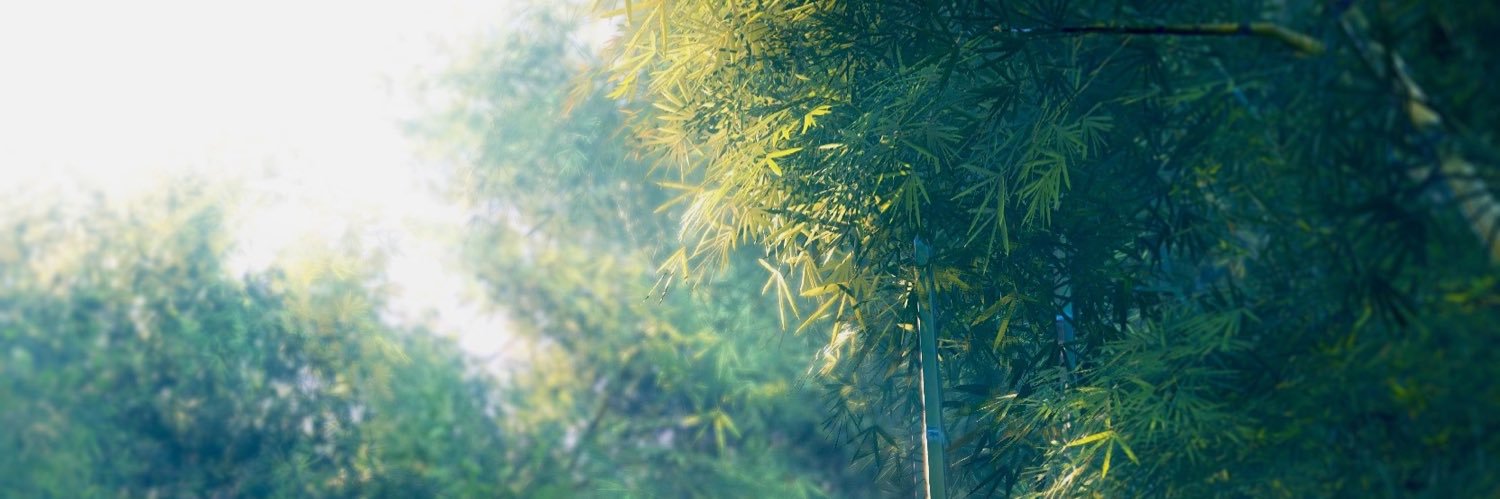 vansama4545's profile banner image