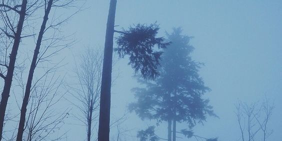 xCullenCollin's profile banner image