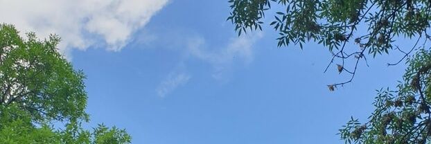 nomoodson's profile banner image