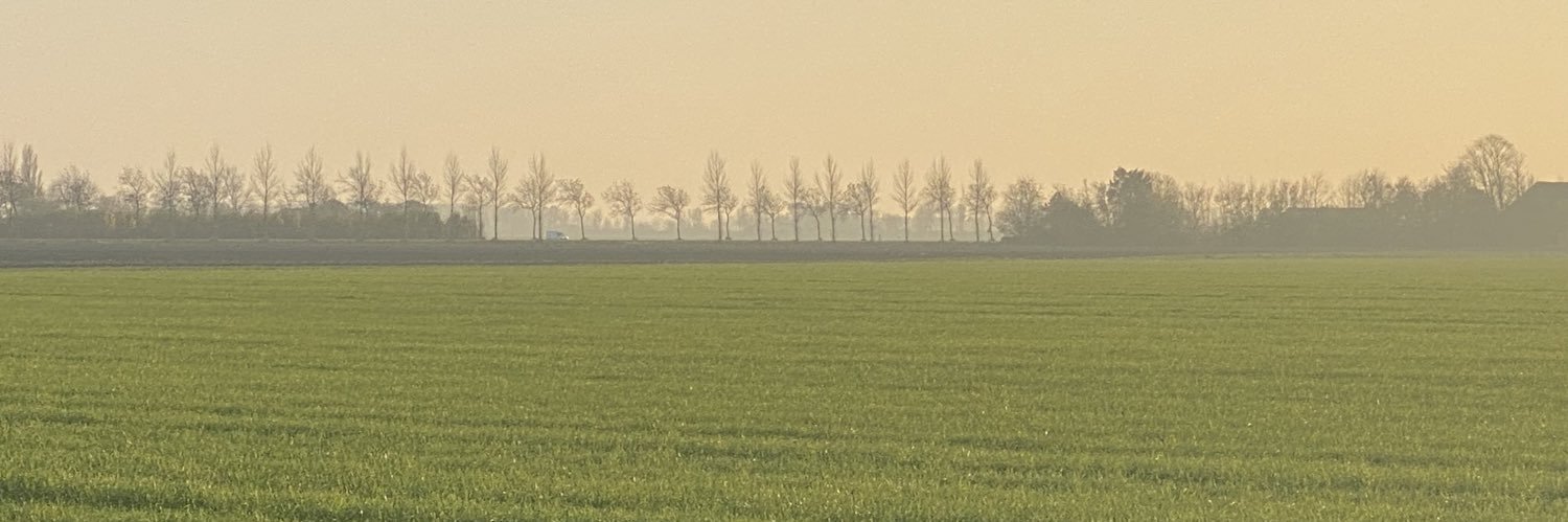 NVisser81's profile banner image