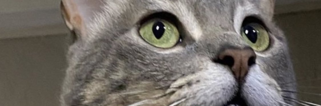 ale_25's profile banner image