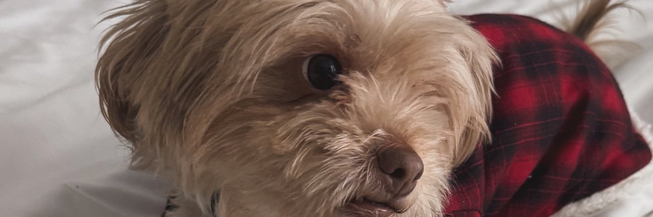 igigvvul's profile banner image