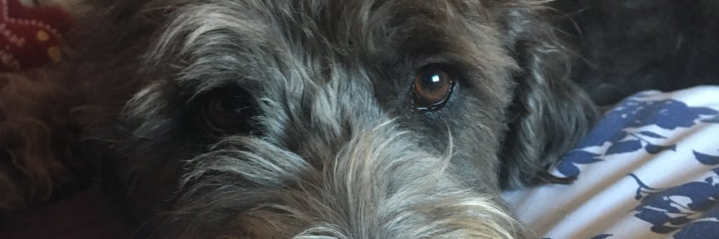 GinaLG88's profile banner image
