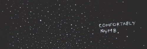 courteney banner