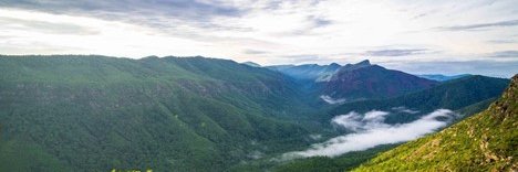 Elizabeth Rose, EdD, MPH banner