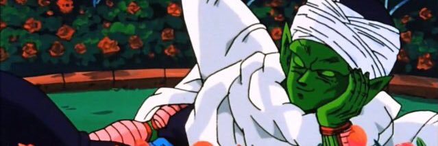 stan_piccolo's profile banner image